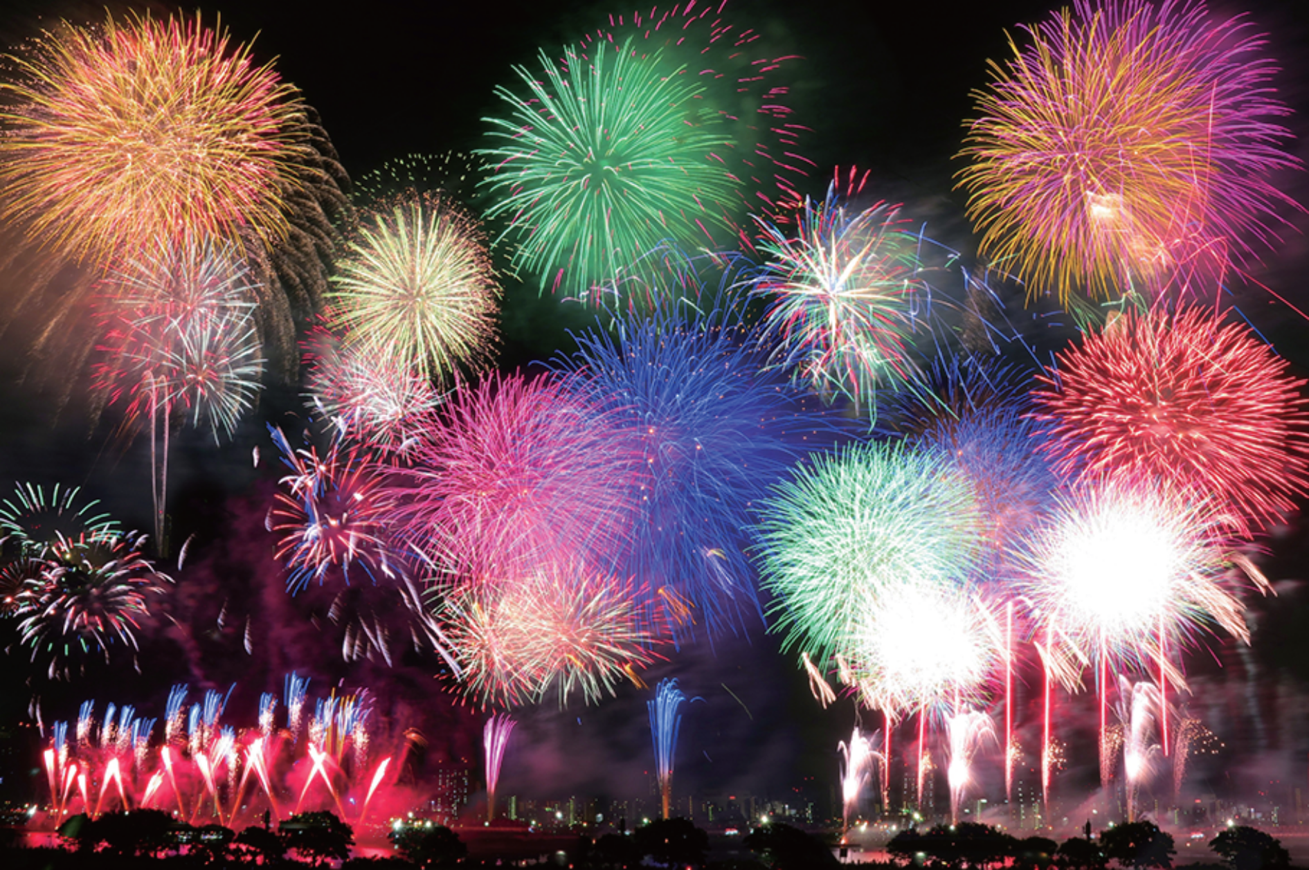 来年の開催が今から待ち遠しい「足立の花火」